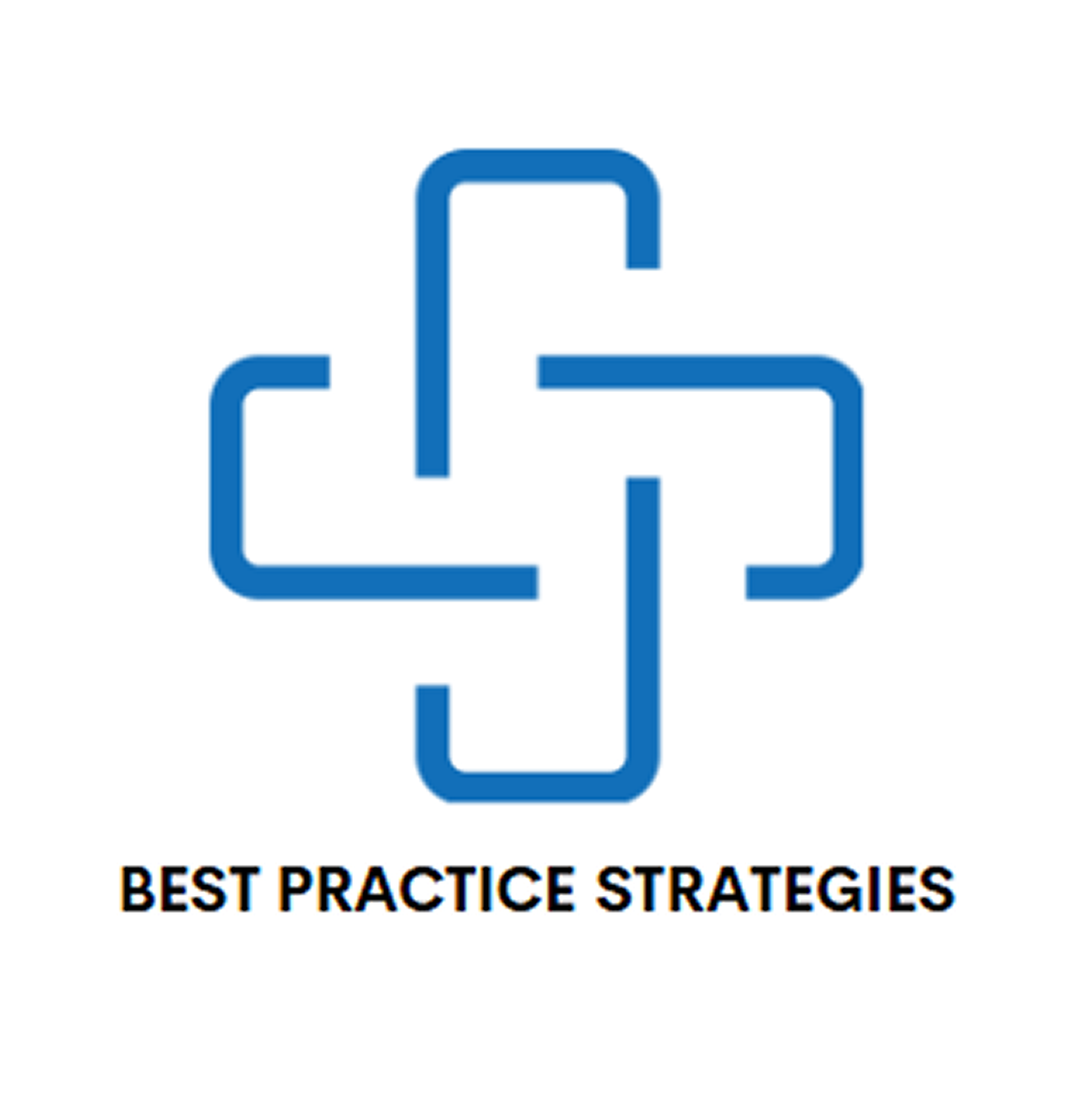 Best Practice Strategies Logo